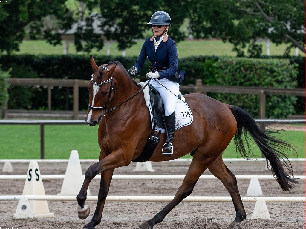 ការប្រកួតល្បែងក្នុងសង្គមពេលនេះ